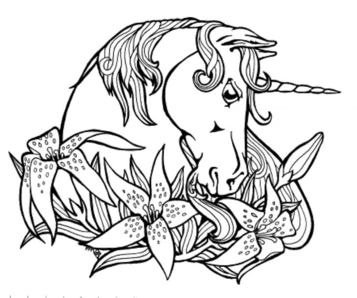 Unicorn Coloring Pages For Adults Unicorn Coloring Pages For Adults Beautiful Color Book Pages Awesome Unicorn Coloring Pages For Adults Unicorn Coloring Pages For Adults Beautiful Color Book Pages Awesome