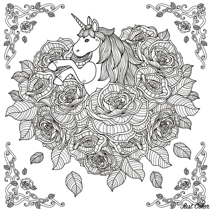 Unicorn Coloring Pages For Adults Unicorn Mandala Unicorns Adult Coloring Pages Unicorn Coloring Pages For Adults Unicorn Mandala Unicorns Adult Coloring Pages