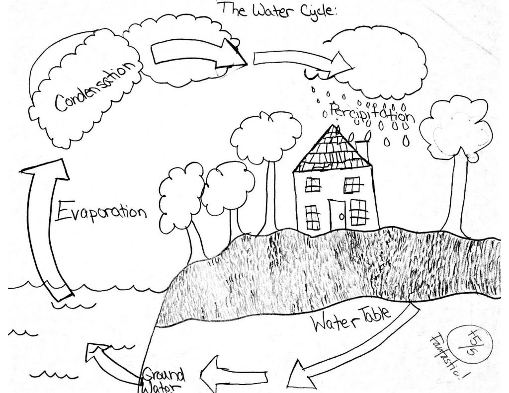 Exclusive Picture of Water Cycle Coloring Page - entitlementtrap.com