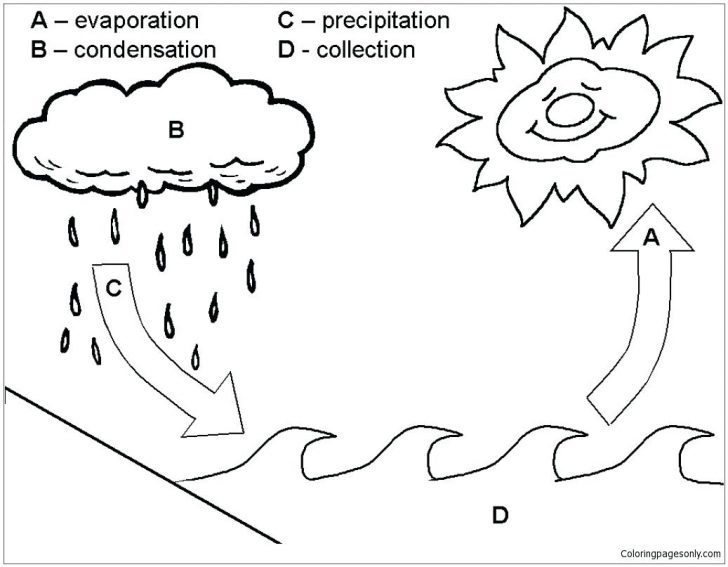 Water Cycle Coloring Page Drawing Of The Water Cycle Drawing Water Cycle Coloring Page Image Water Cycle Coloring Page Drawing Of The Water Cycle Drawing Water Cycle Coloring Page Image