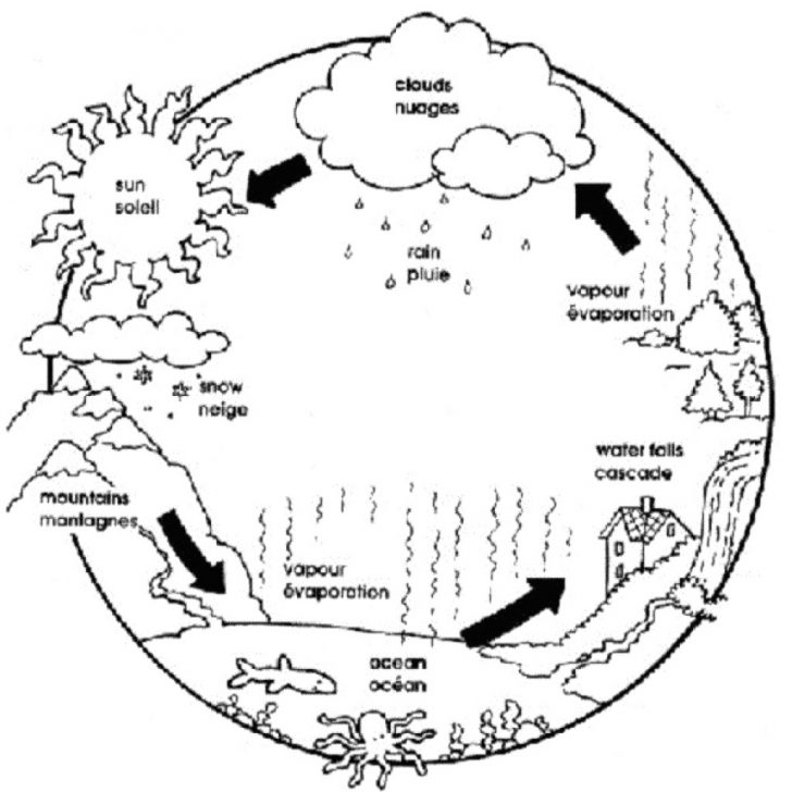 Water Cycle Coloring Page How To Draw Water Cycle Coloring Page For Free At Coloring Page Water Cycle Coloring Page How To Draw Water Cycle Coloring Page For Free At Coloring Page