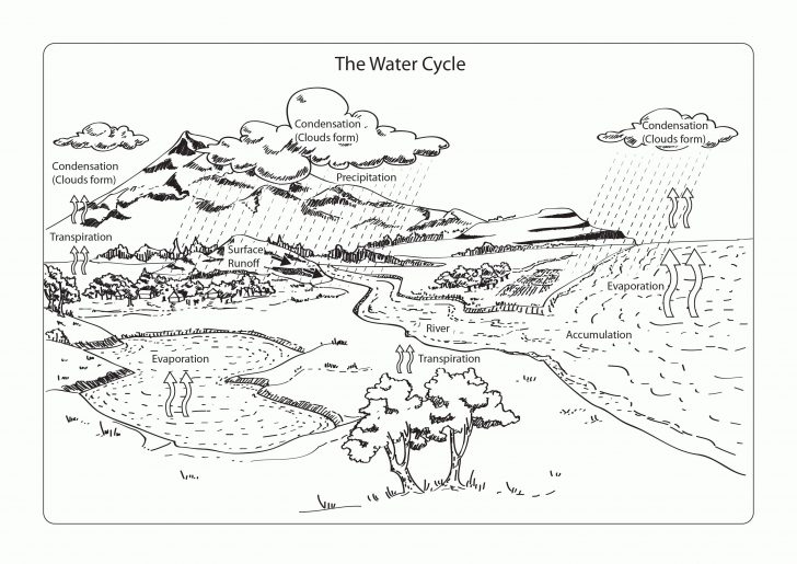 Water Cycle Coloring Page Water Cycle Coloring Page Diagram Printable Worksheets For Water Cycle Coloring Page Water Cycle Coloring Page Diagram Printable Worksheets For