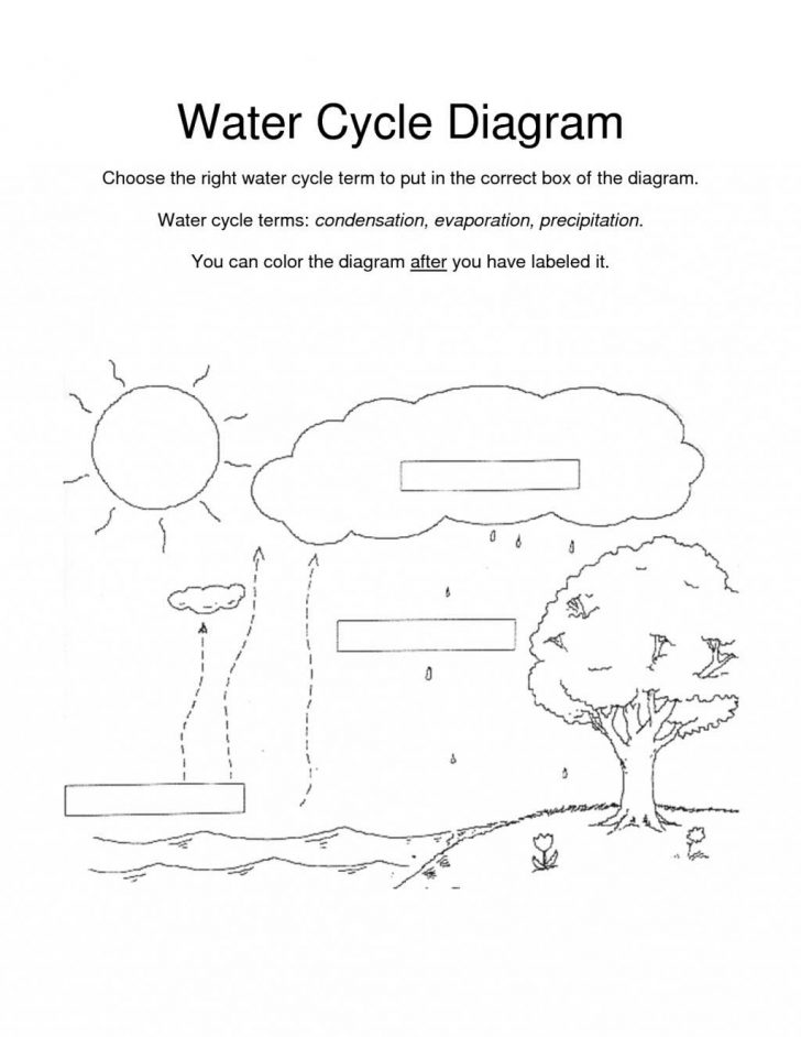 Water Cycle Coloring Page Water Cycle Coloring Pages Worksheet Kindergarten Linear Get Water Cycle Coloring Page Water Cycle Coloring Pages Worksheet Kindergarten Linear Get