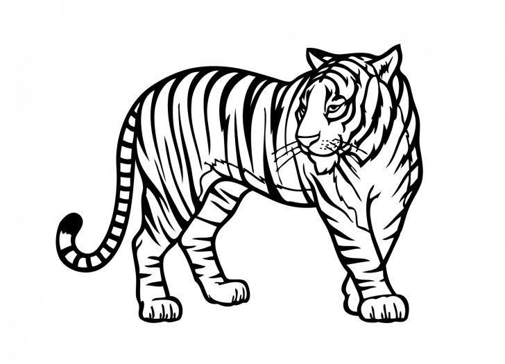Zoo Animals Coloring Pages Coloring Pictures Of Tigers Zoo Animals Coloring Pages Elegant Rick Zoo Animals Coloring Pages Coloring Pictures Of Tigers Zoo Animals Coloring Pages Elegant Rick