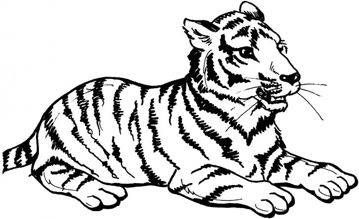Zoo Animals Coloring Pages Zoo Animals Coloring Pages Coloring Ideas Zoo Animals Coloring Pages Zoo Animals Coloring Pages Coloring Ideas