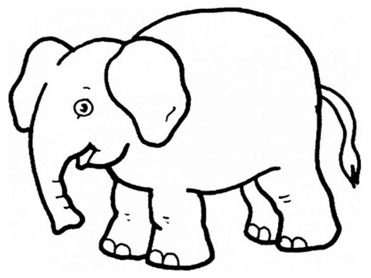 Zoo Animals Coloring Pages Zoo Animals Coloring Pages Elephant Preschool Coloring Pages Zoo Zoo Animals Coloring Pages Zoo Animals Coloring Pages Elephant Preschool Coloring Pages Zoo
