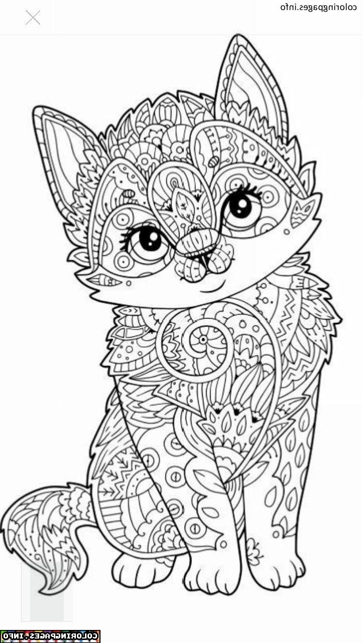 Kids Animal Mandala Coloring Pages Coloring Pages