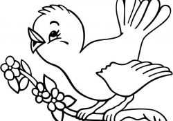 Bird Coloring Pages Coloring Page Mongolian Ringneck Male Pheasan Coloring Pages Page