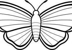 Butterfly Coloring Page Coloring Page 41 Butterfly Coloring