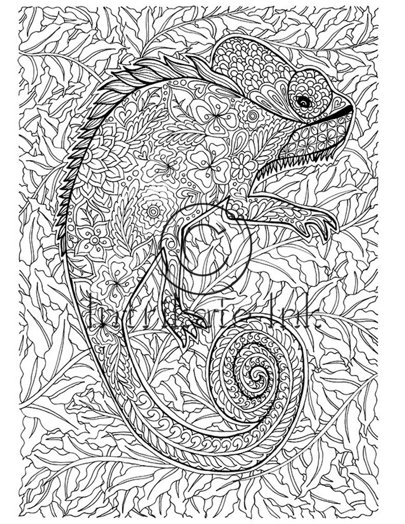 25+ Great Photo of Chameleon Coloring Page - entitlementtrap.com
