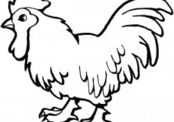 Chicken Coloring Pages Chicken Coloring Pages Free Coloring Pages