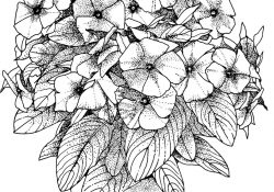 Coloring Pages For Adults Flowers Flower Coloring Pages For Adults Best Coloring Pages For Kids