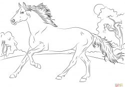 Coloring Pages Horses Horses Coloring Pages Free Coloring Pages