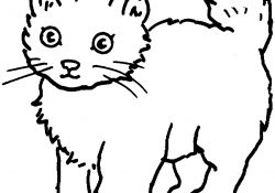 Coloring Pages Of Cats Cats Coloring Pages Free Coloring Pages