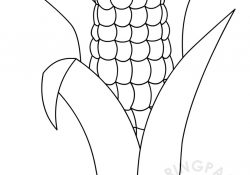 Corn Coloring Page Corn Coloring Pages Printable Coloring Page