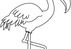 Flamingo Coloring Pages Flamingo Coloring Page Free Printable Coloring Pages