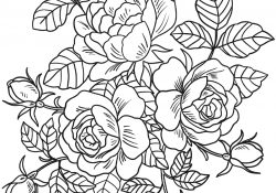 Flower Coloring Pages Roses Flowers Coloring Page Free Printable Coloring Pages