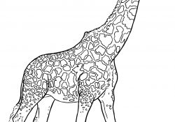 Giraffe Coloring Pages Realistic Giraffe Coloring Page Free Printable Coloring Pages