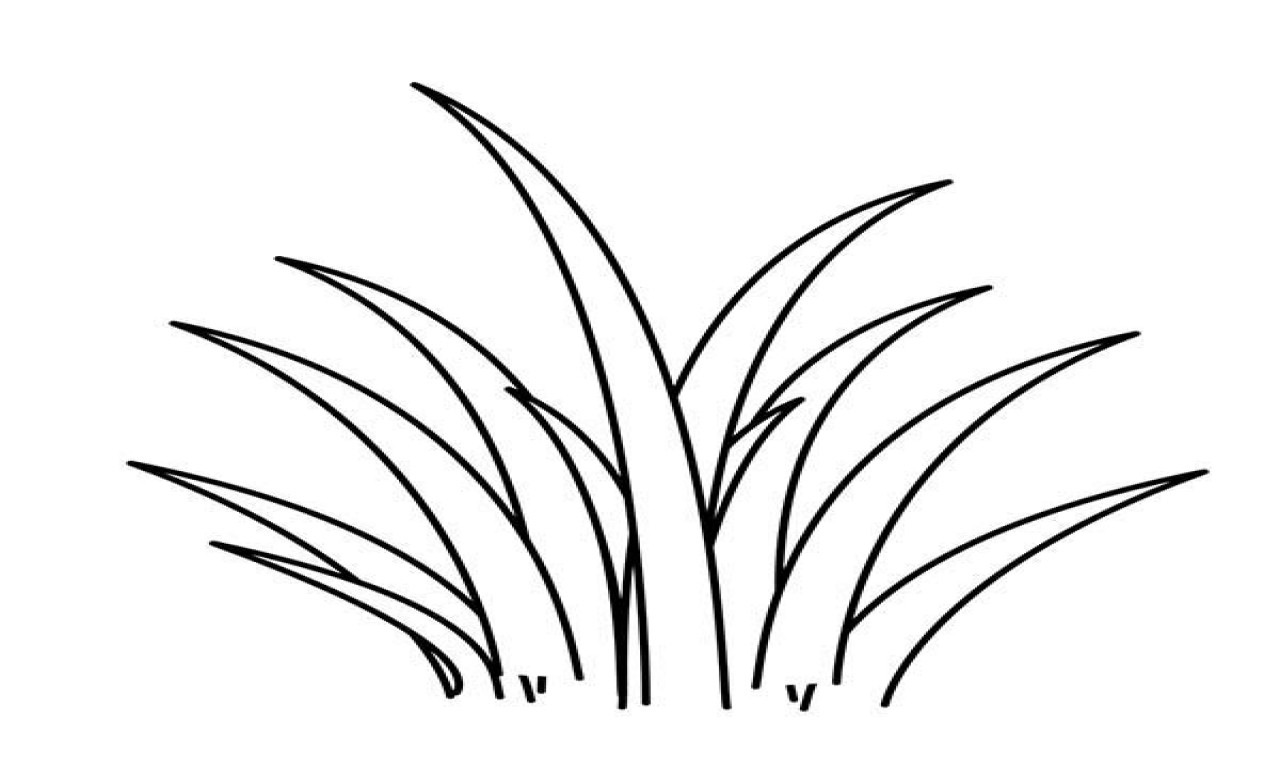 Grass Coloring Page Plant Green Grass Coloring Pages Print Coloring Entitlementtrap