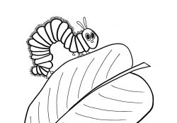 Hungry Caterpillar Coloring Pages Free The Hungry Caterpillar On A Leaf Coloring Page