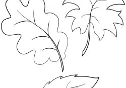 Leaf Coloring Page Fall Autumn Leaves Coloring Page Free Printable Coloring Pages