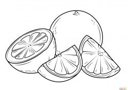 Orange Coloring Page Oranges Coloring Pages Free Coloring Pages