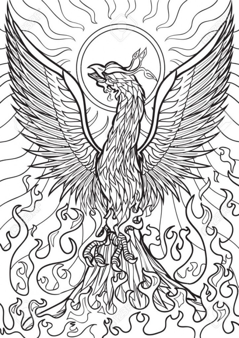 Phoenix Coloring Page Phoenix Coloring Page