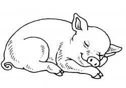 Pig Coloring Pages Pig Coloring Pages Free Coloring Pages
