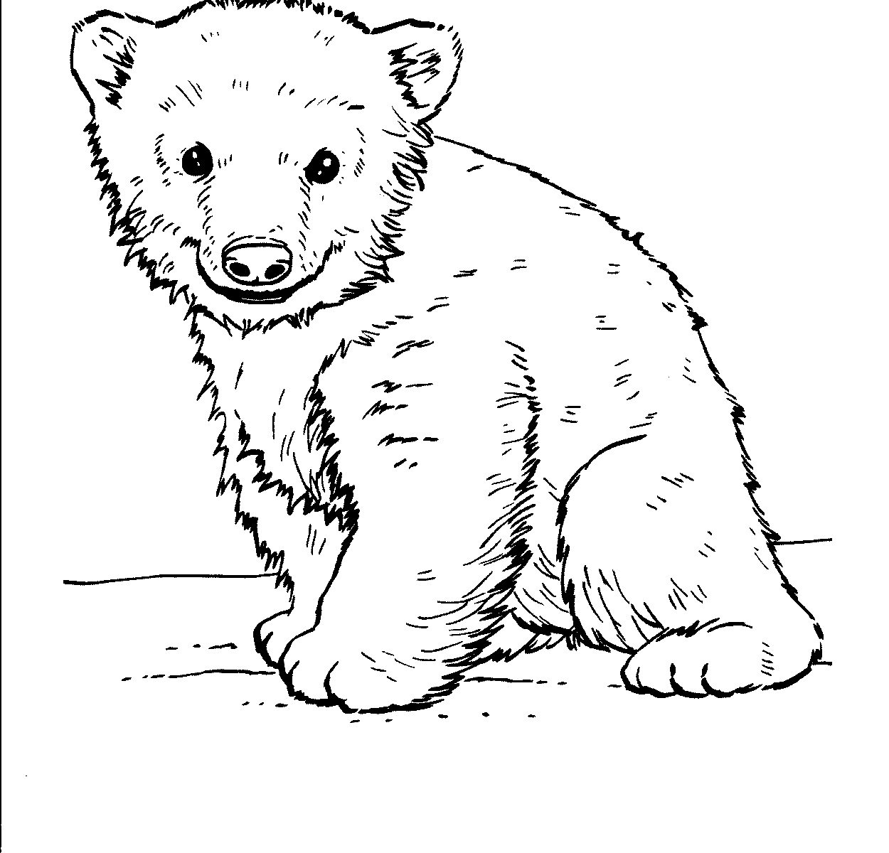 Медведь черно белый для детей