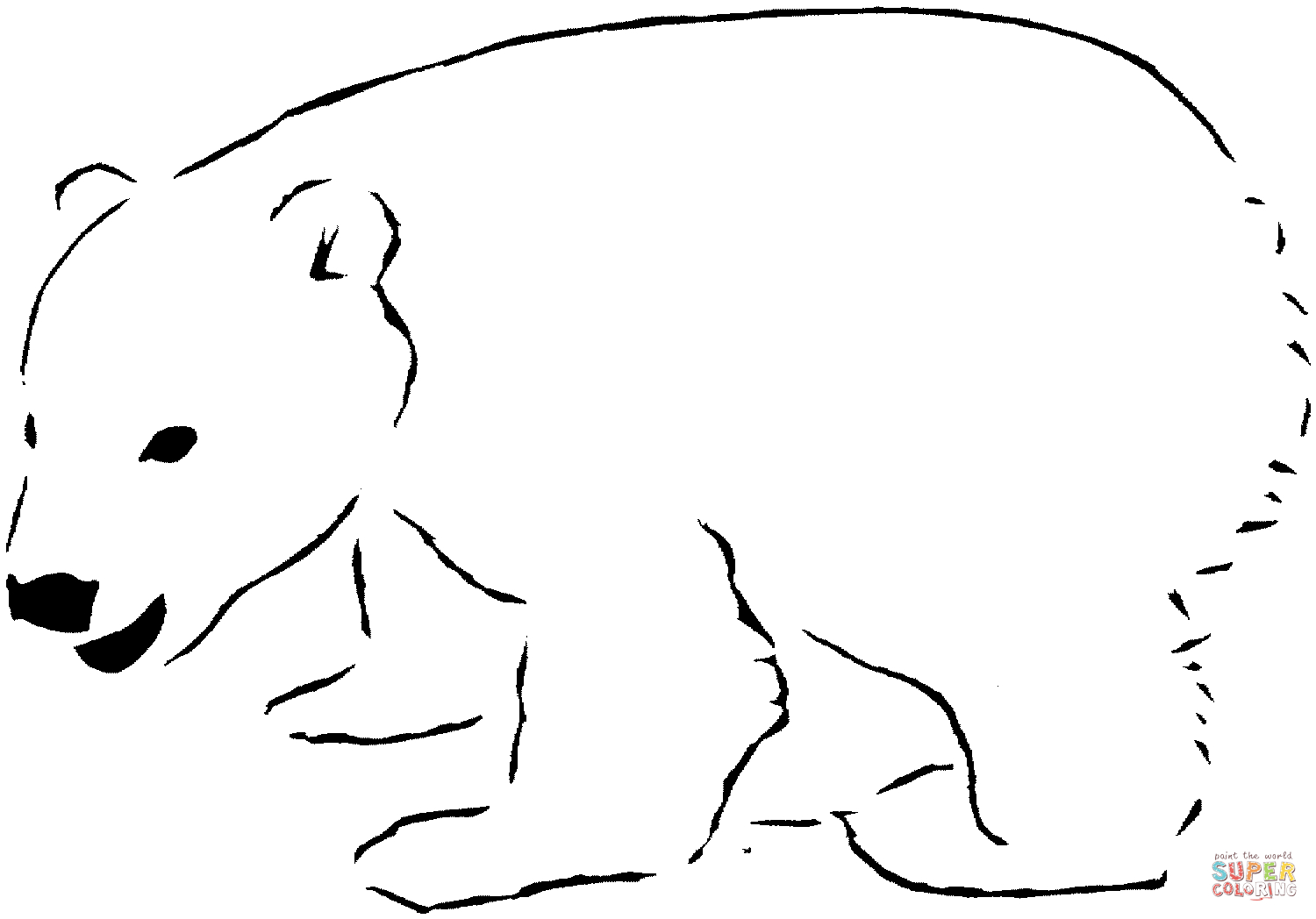 21+ Excellent Picture of Polar Bear Coloring Pages - entitlementtrap.com