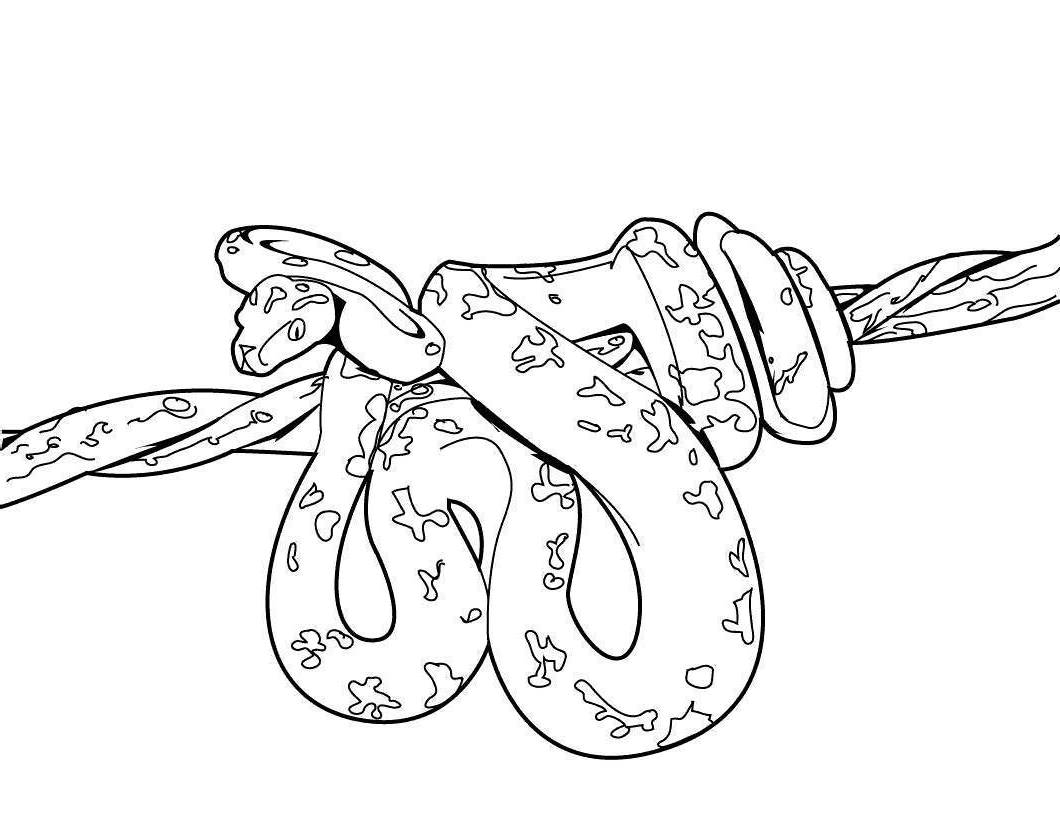 Download 27+ Great Photo of Snake Coloring Page - entitlementtrap.com