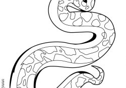 Snake Coloring Page Snake Coloring Pages Hellokids
