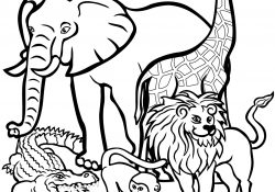 Zoo Animals Coloring Pages Coloring Page Animals Starkhouseofstraussco